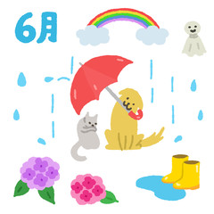 6月素材　犬と猫