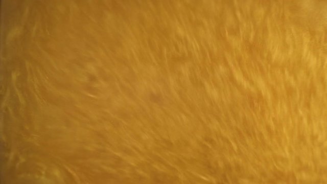 Rheoscopic fluid. Beautiful movement of particles in a liquid. Fantastic patterns and shapes. 50 fps