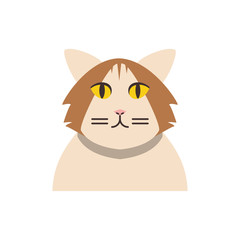 Cute white and brown cat cartoon vector design