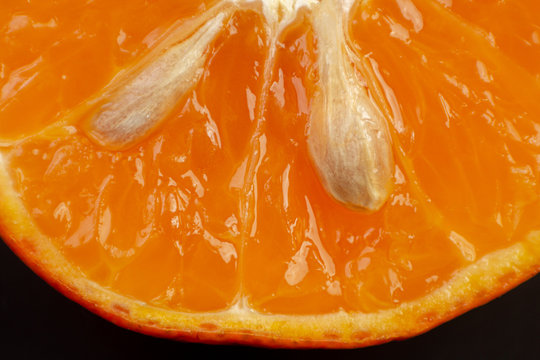 Naranja mandarina semilla close up