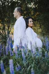 Pregnant woman and her husband lean to each other back to back among lupins field