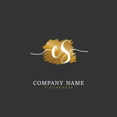 Handwritten initial letter E S ES for identity and logo. Vector logo template with handwriting and signature style.