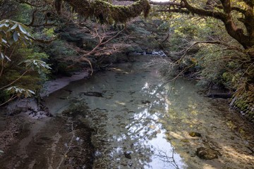 屋久島　淀川小屋付近