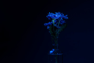 Simple Flower Arrangement in Dark Blue Tones