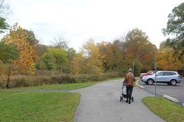 Fototapeta premium Woman with a stroller walking on a trail at McDowell Grove Forest Preserve in Naperville, Illinois in autumn