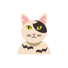 Cute white and black cat cartoon vector design