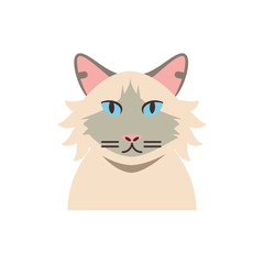 Cute white and grey cat cartoon vector design