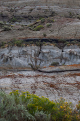 Theodore Roosevelt National Park