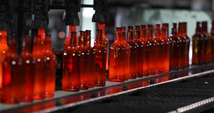 Manufacturing industrial factory with automated line for production of glass bottles with modern machinery equipment. Hot glass bottles was standed on conveyor by robotic machine and moved.
