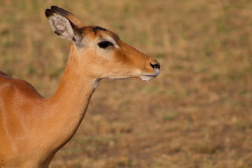 Property of Stephen Denver
