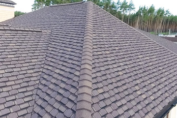Bituminous tile for a roof. House with a roof from a bituminous