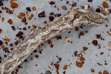 Theodore Roosevelt National Park