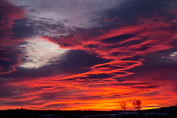 Red-blue sunset with dark clouds on the outskirts of the village. Dark winter rural silhouette with...