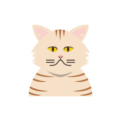 Cute striped white cat cartoon vector design
