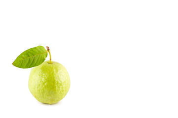 guava is tropical  fruits on white background fruit agriculture food isolated