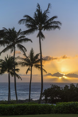 Obraz na płótnie Canvas Sunset over the ocean on a peaceful tropical island with palm trees and orange skies.
