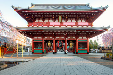 Sensoji temple gate with cherry blossom tree during spring season in morning at Asakusa district in Tokyo, Japan. Japan tourism, history building, or tradition culture and travel concept.
