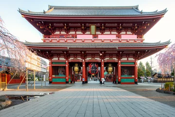 Wall murals Place of worship Sensoji temple gate with cherry blossom tree during spring season in morning at Asakusa district in Tokyo, Japan. Japan tourism, history building, or tradition culture and travel concept.