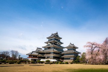 Fototapeta na wymiar Matsumoto Castle during cherry blossom (Sakura) is one of the most famous sights in Matsumoto, Nagano, Japan. Asian tourism, history building, or tradition culture and travel concept