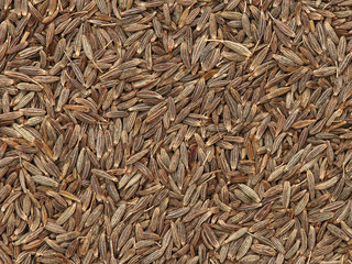 Cumin seeds texture, full frame background. Second most popular spice in the world after black pepper.
