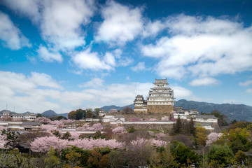 Cherry blossom flowers season during spring season with Himeji castle and nice sky cloud in Himeji city, Hyogo near Osaka, Japan. Japan tourism, history building, or tradition culture