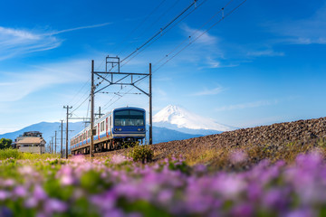 A local train of JR Izuhakone Tetsudo-Sunzu Line traveling through the countryside on a sunny...