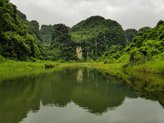 Fototapeta na wymiar Vietnam's nature landscape looks healthy green