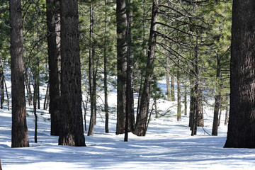 White snow on mountain 