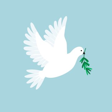 White pigeon with olive branch. Dove flying and holding a holly message. Symbol for peace, love, faith. Vector illustration.