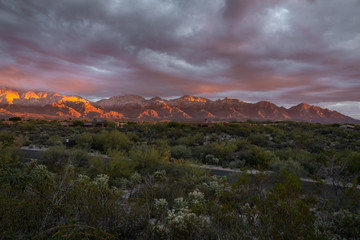 Naklejka premium Dramatic Sunset in tucson, arizona
