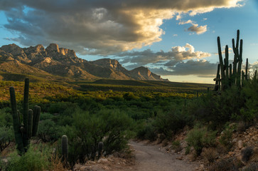 Golden hour, desert landscape, mountains © matthew