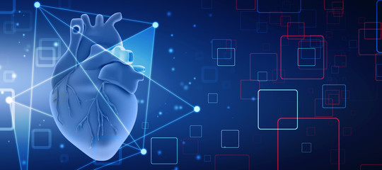 3d illustration  Anatomy of Human Heart 