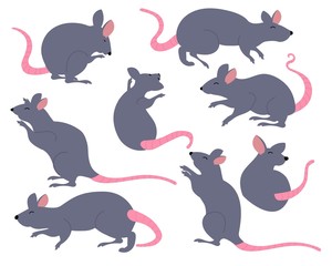 Vector illustration rat collection. solid, color, brown color and ornament chinese