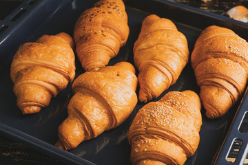 Tasty croissants on baking tray