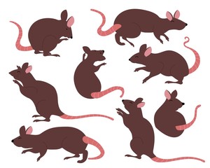Vector illustration rat collection. solid, color, brown color and ornament chinese