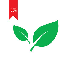 Leaf icon vector. Simple design nature leaf icon illustration.