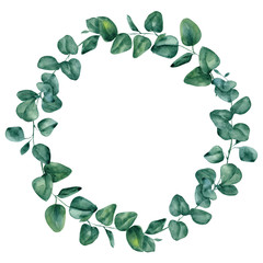 Watercolor wreath with hand draw branches of cotton and eucalyptus leaves, isolated on white background - obrazy, fototapety, plakaty