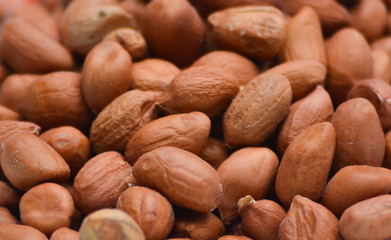 Raw red unpeeled peanuts in heap background
