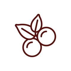 Isolated coffee berries with leaves vector design