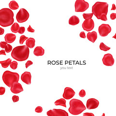 Red rose petals isolated on white background.Valentine day,wedding, mother day,March 8,international women day decoration,.Digital clip art.Warercolor illustration. - 314211923