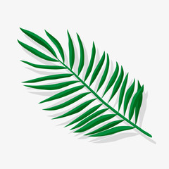 Fototapeta premium Green palm leaf vector pattern on white background. Collection of tropical leaves, print for logo, clothes, cloth, textile, swimwear, fabric, fashion, paper. Cute and bright summer background.