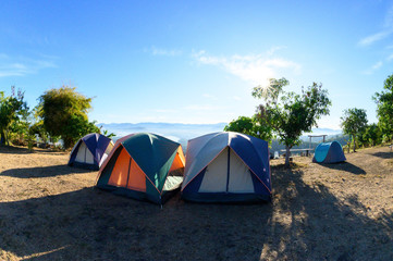 Colorful tourist tents in green grass meadow on high mountain with blue sky and white cloud fog background.