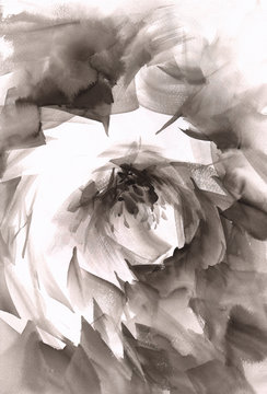 Abstraction rose painted with brush touch effect . gray and white colors.