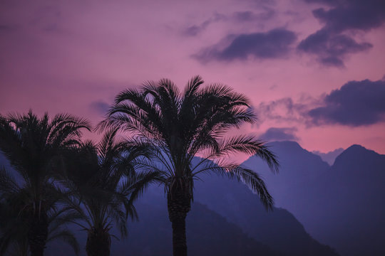 vivid and colorful clouds above mountains  with palm trees silhouettes in the foreground