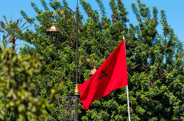 Morocco flag on a background of tree foliage, Marrakesh, Morocco. With selective focus.