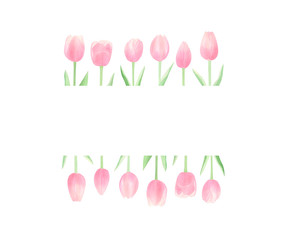 Watercolor spring tulips border on white background. Copy space. Hand dawn tulips frame. Perfect for greeting card, invitations. Happy mothers day and spring.