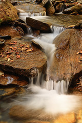 Autumn mountain waterfall stream in the rocks with red fallen  leaves         