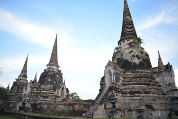 Obraz premium temple in ayutthaya thailand
