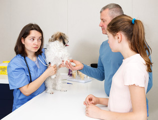 Woman veterinarian consulting family with dog