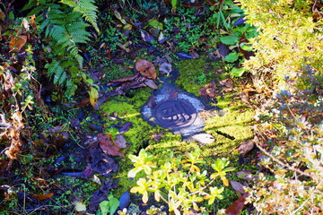 庭にある雨水用マンホールの蓋